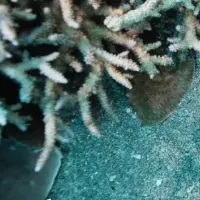 海とワインの挑戦