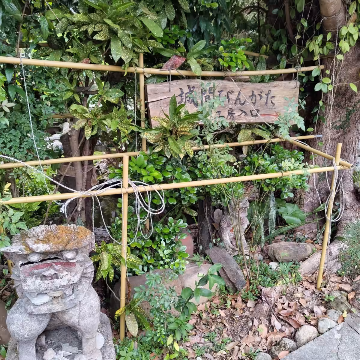 画像14