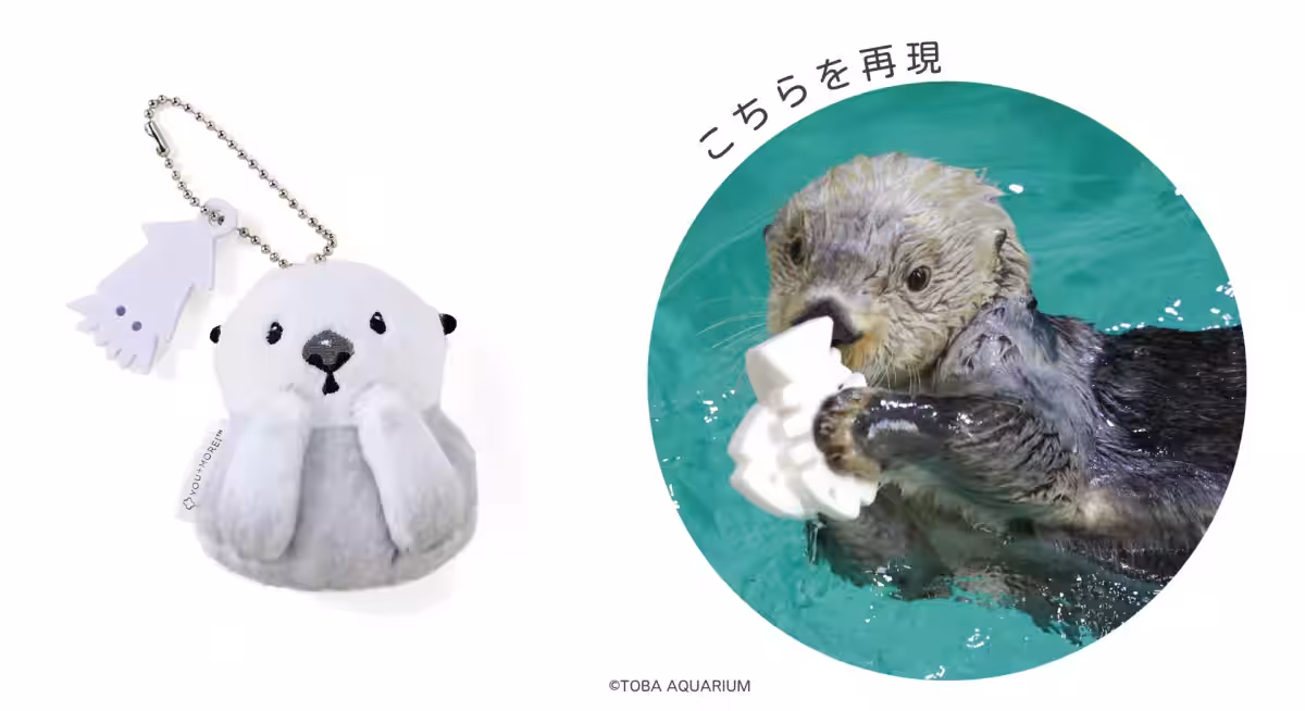 画像7