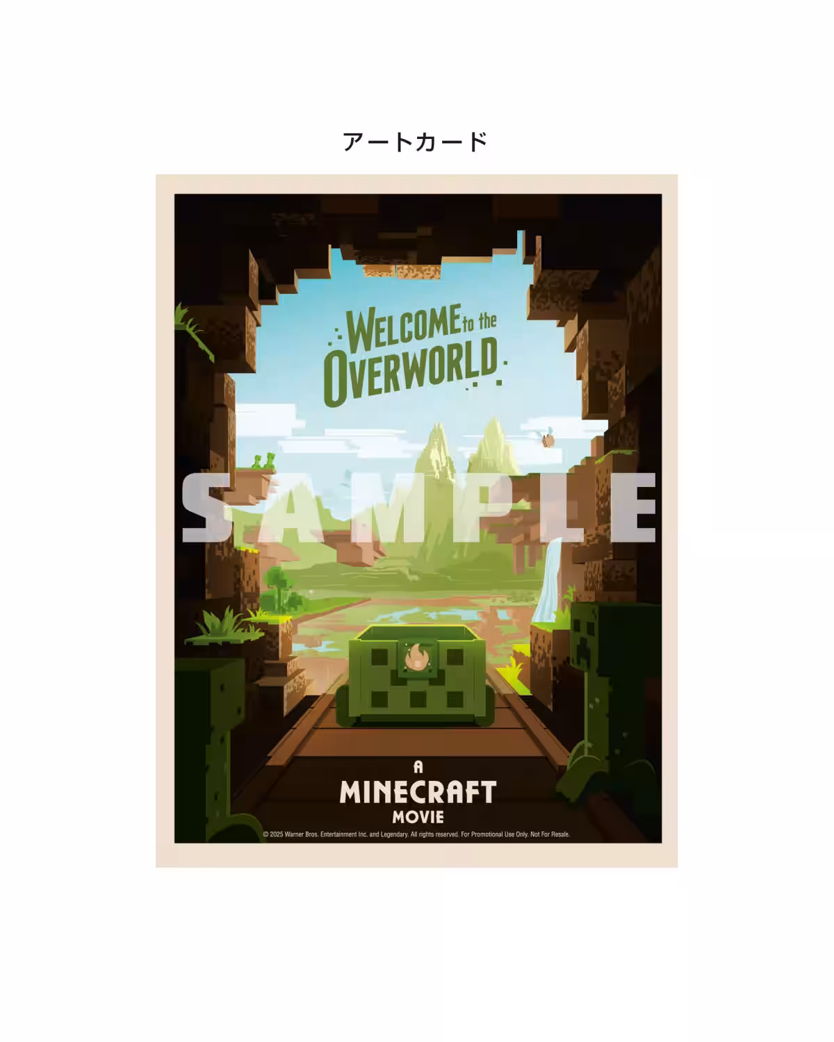 画像9