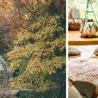 六甲の秋カナッペ