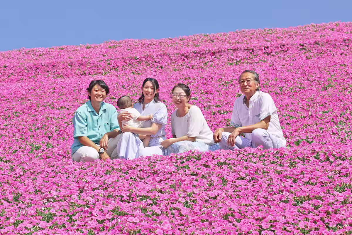 画像8