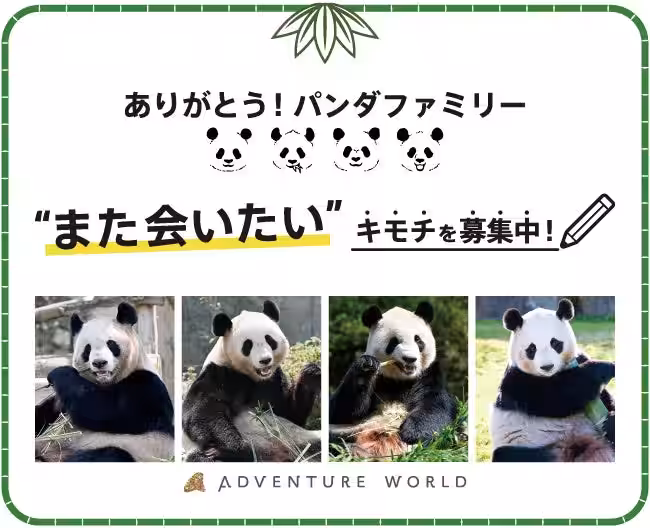 画像13