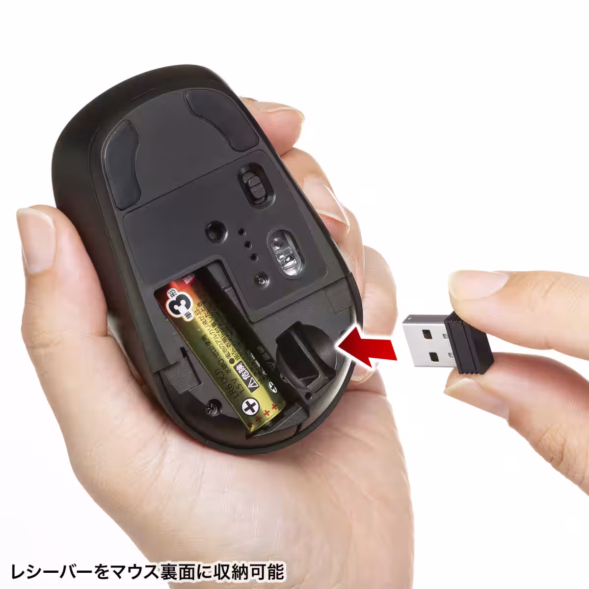 画像15