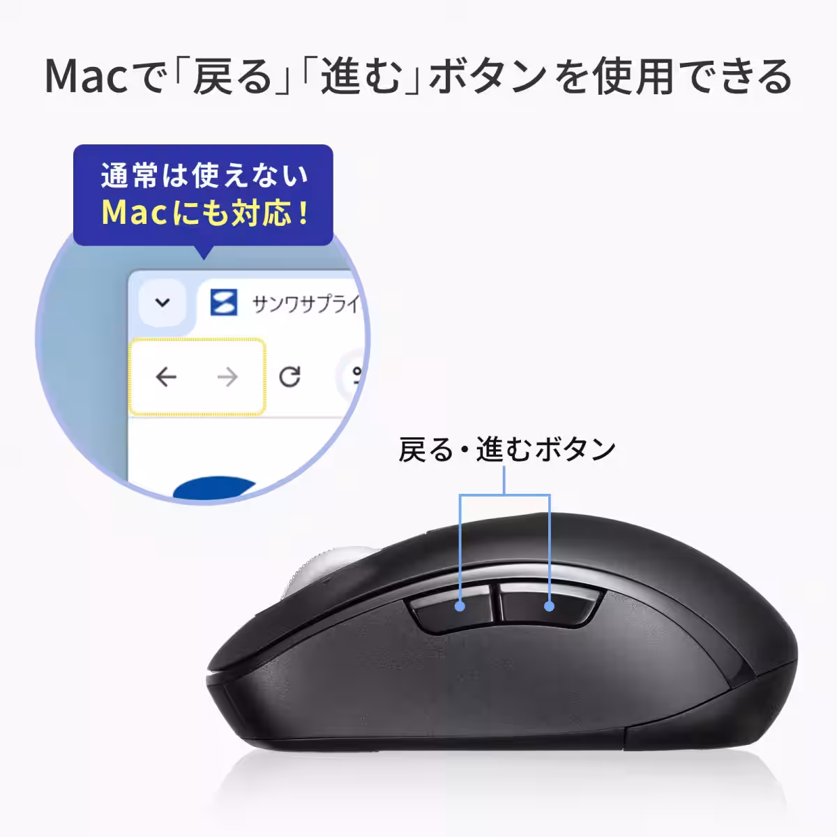 画像12