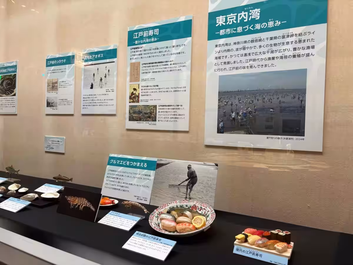 画像8