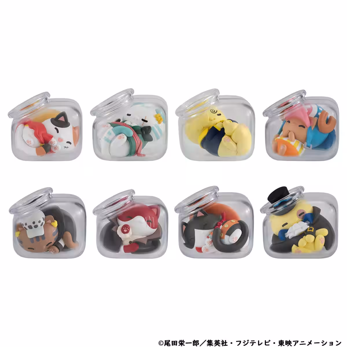 画像7