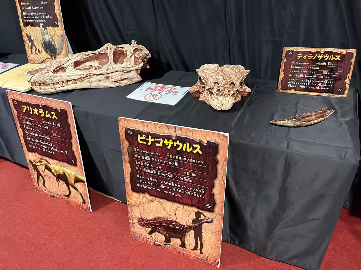 画像8