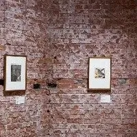 夏のミュージアム特集