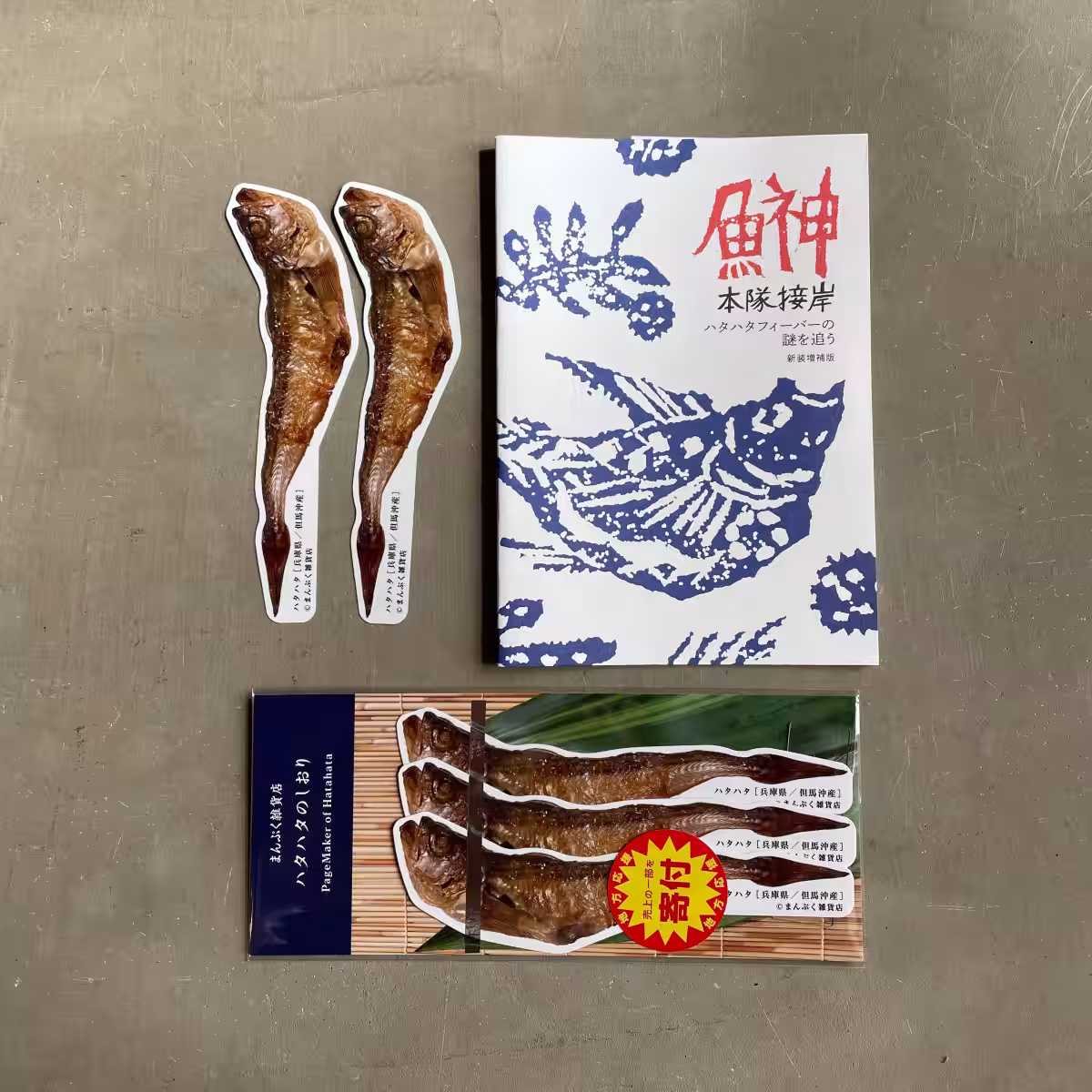 画像3