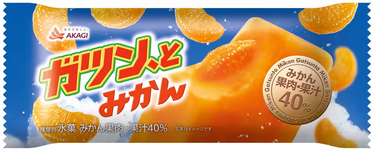 画像14