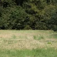 川田涼平写真展