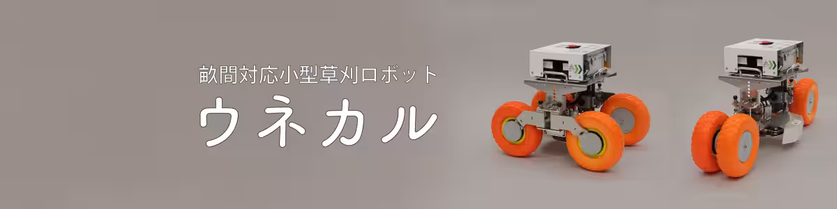 画像13