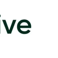 Recursiveが技術支援