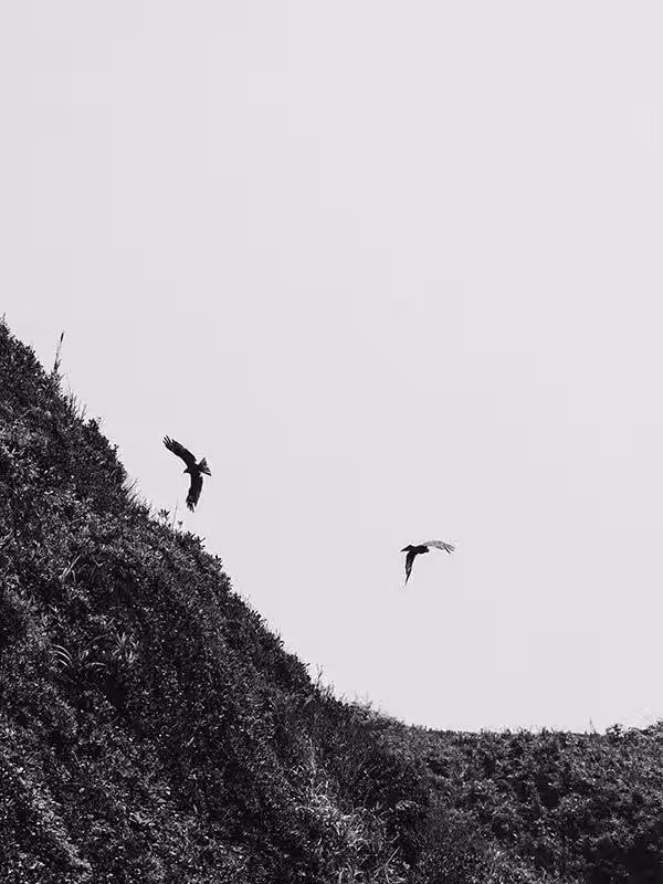 画像10