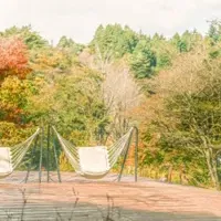 六甲山の秋イベント