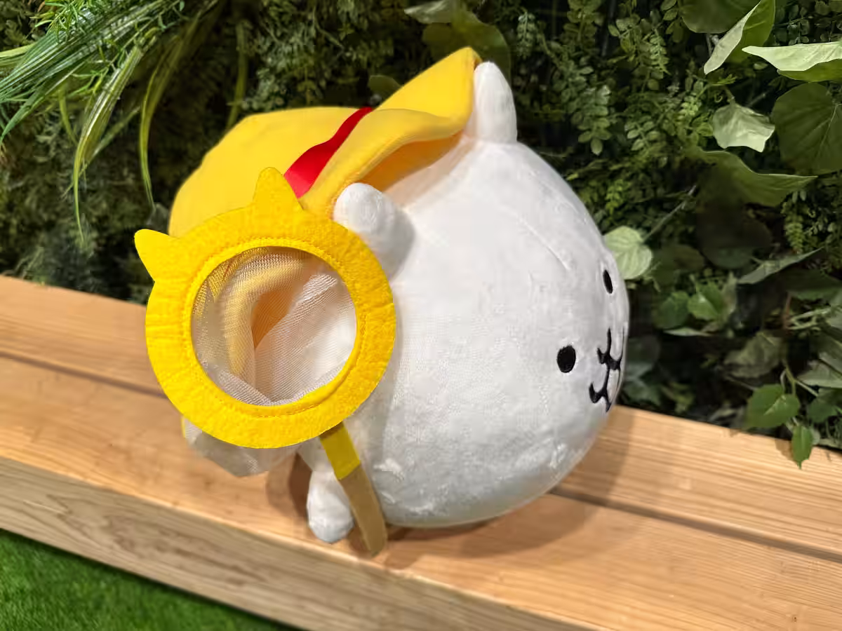 画像5