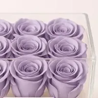 フラワーギフト新店