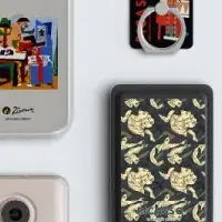 ピカソのアートケース