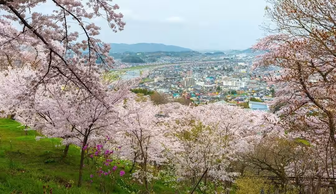 画像4