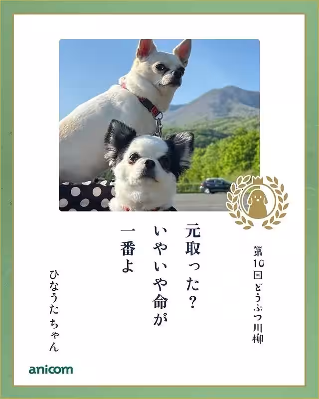 画像17