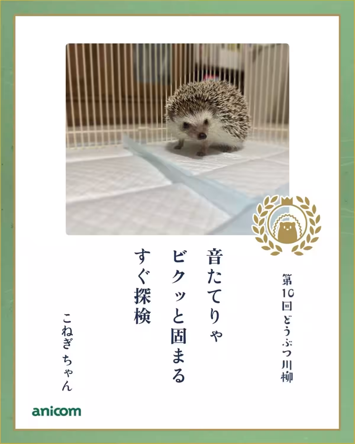 画像12