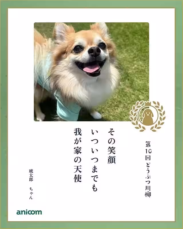 画像14