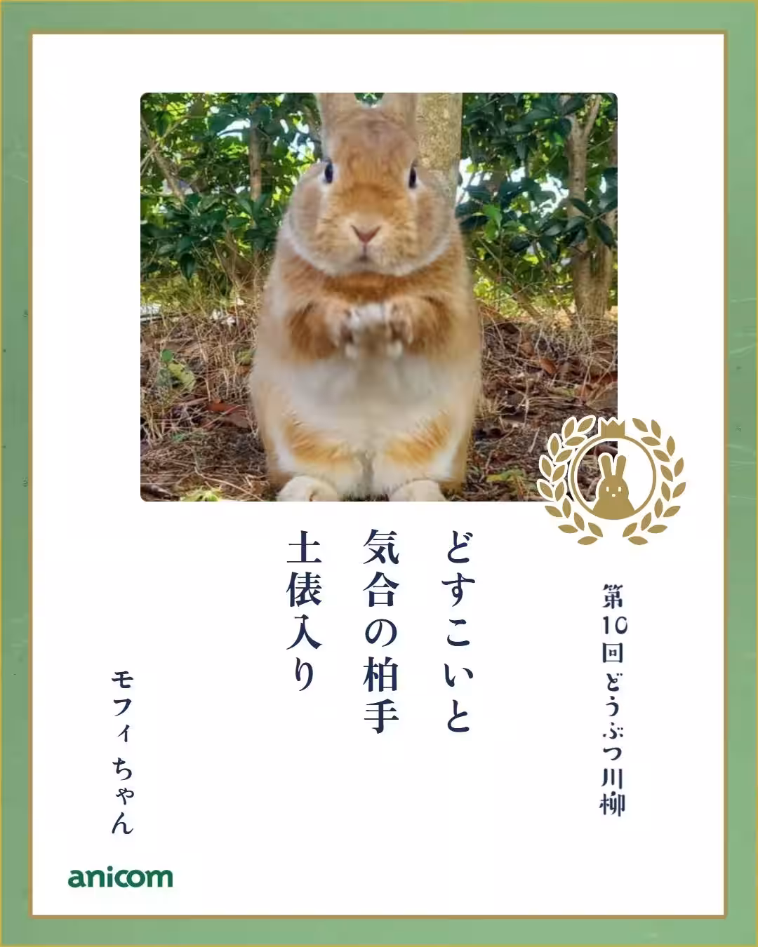 画像13