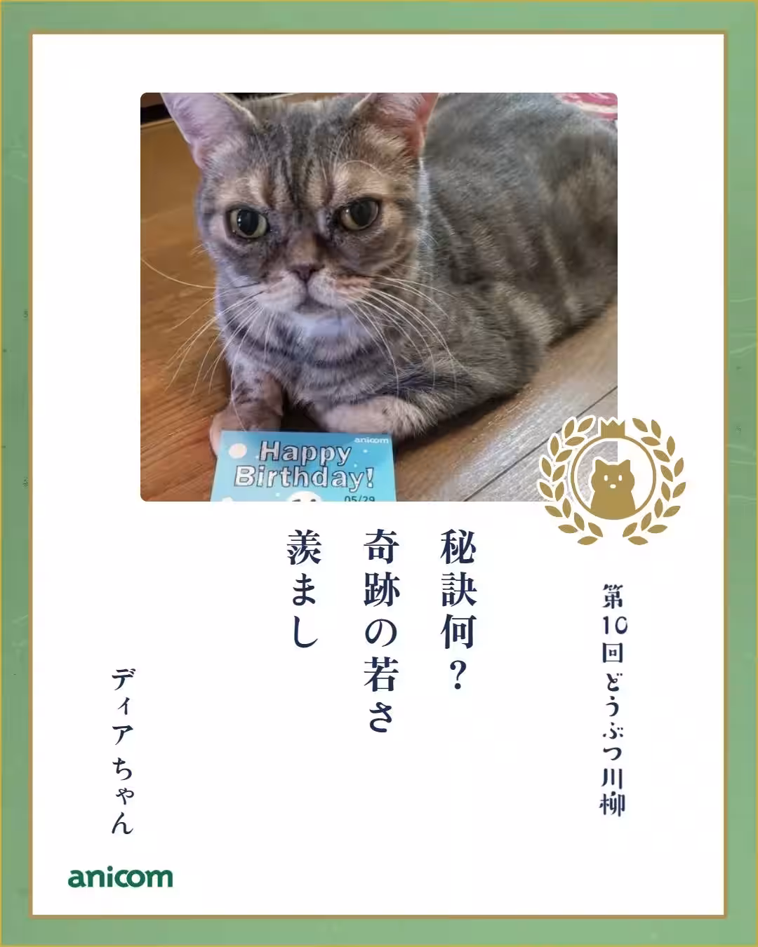 画像15