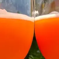 新感覚ビール登場