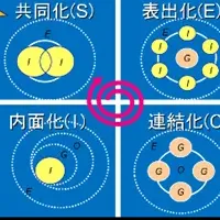 知識創造とSECIモデル