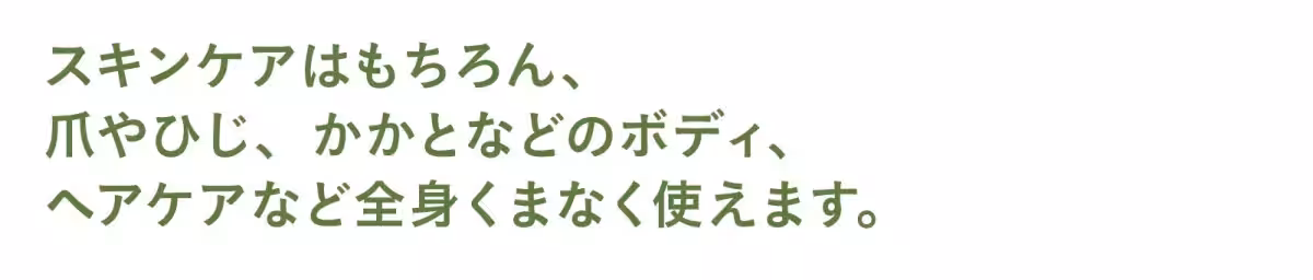 画像14