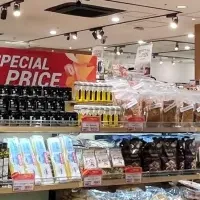 北野エースの進化