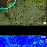 枯れ木検知AIサービス