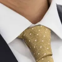 AVEVA新体制と成長