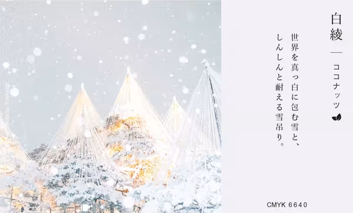 画像8