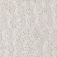 Park JongYong初個展