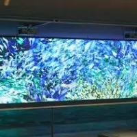 BECHILLが万博応援