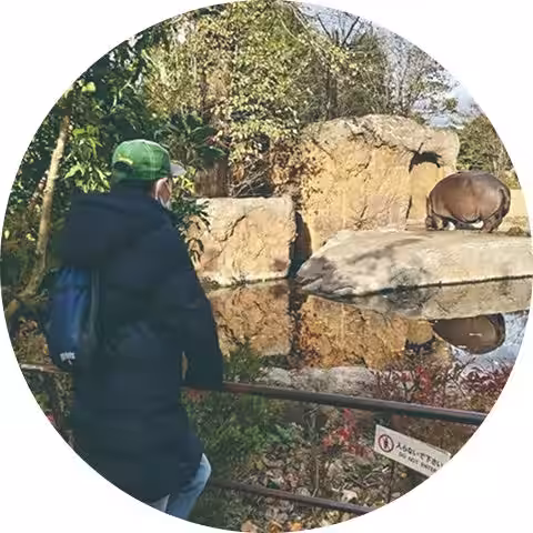 画像11