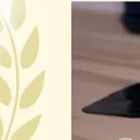 生理痛研修の効果