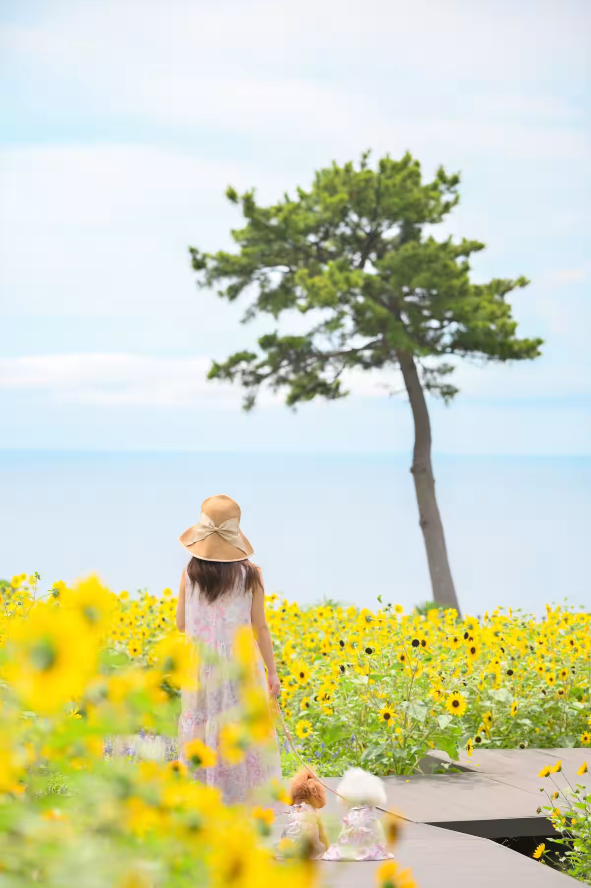画像6