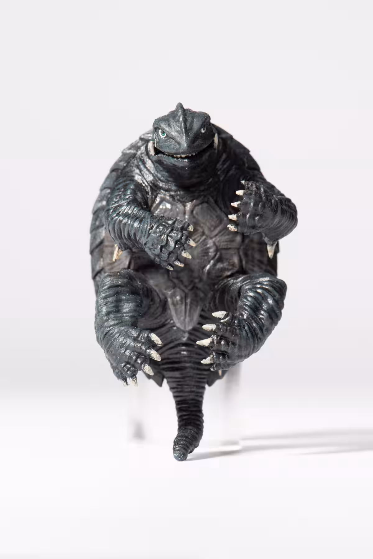 画像3