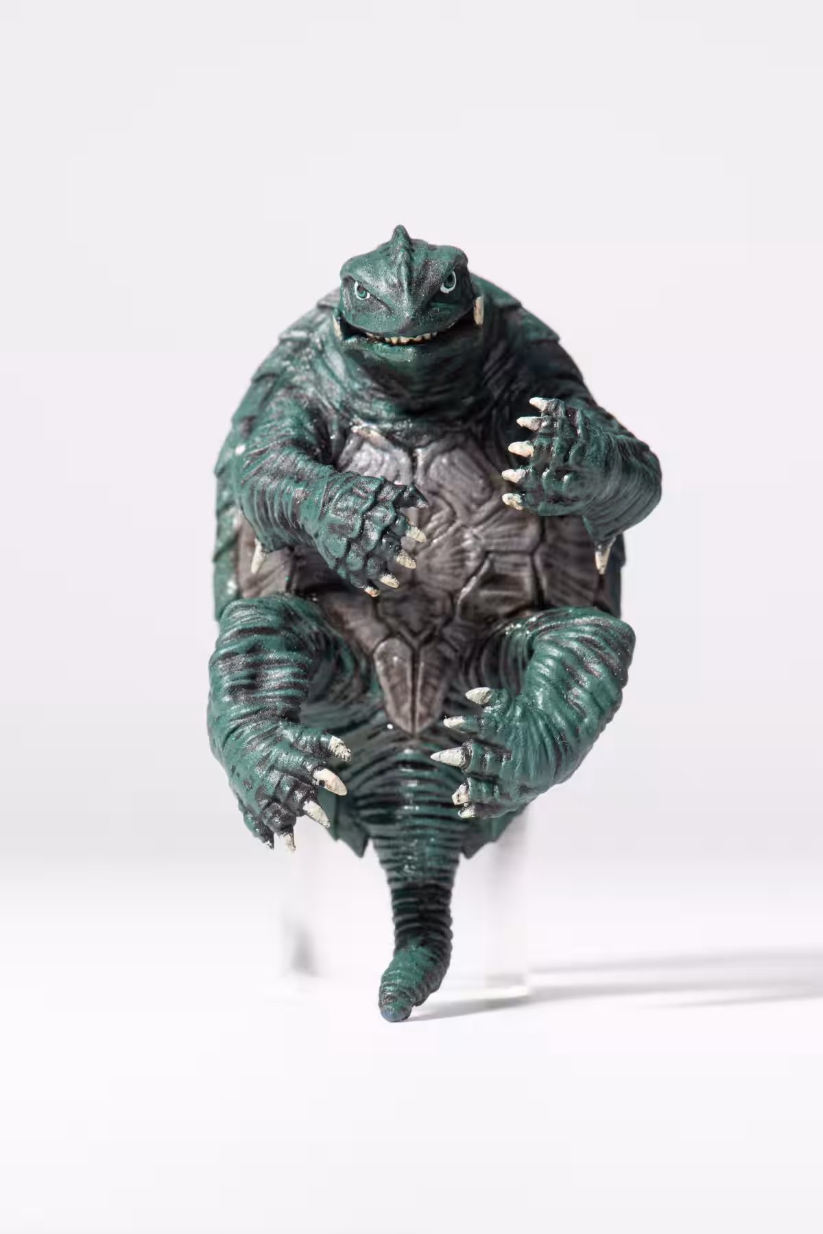 画像2