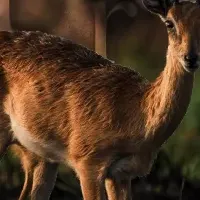 渋谷ヒカリエの注目イベント