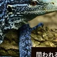 爬虫類取引の実態