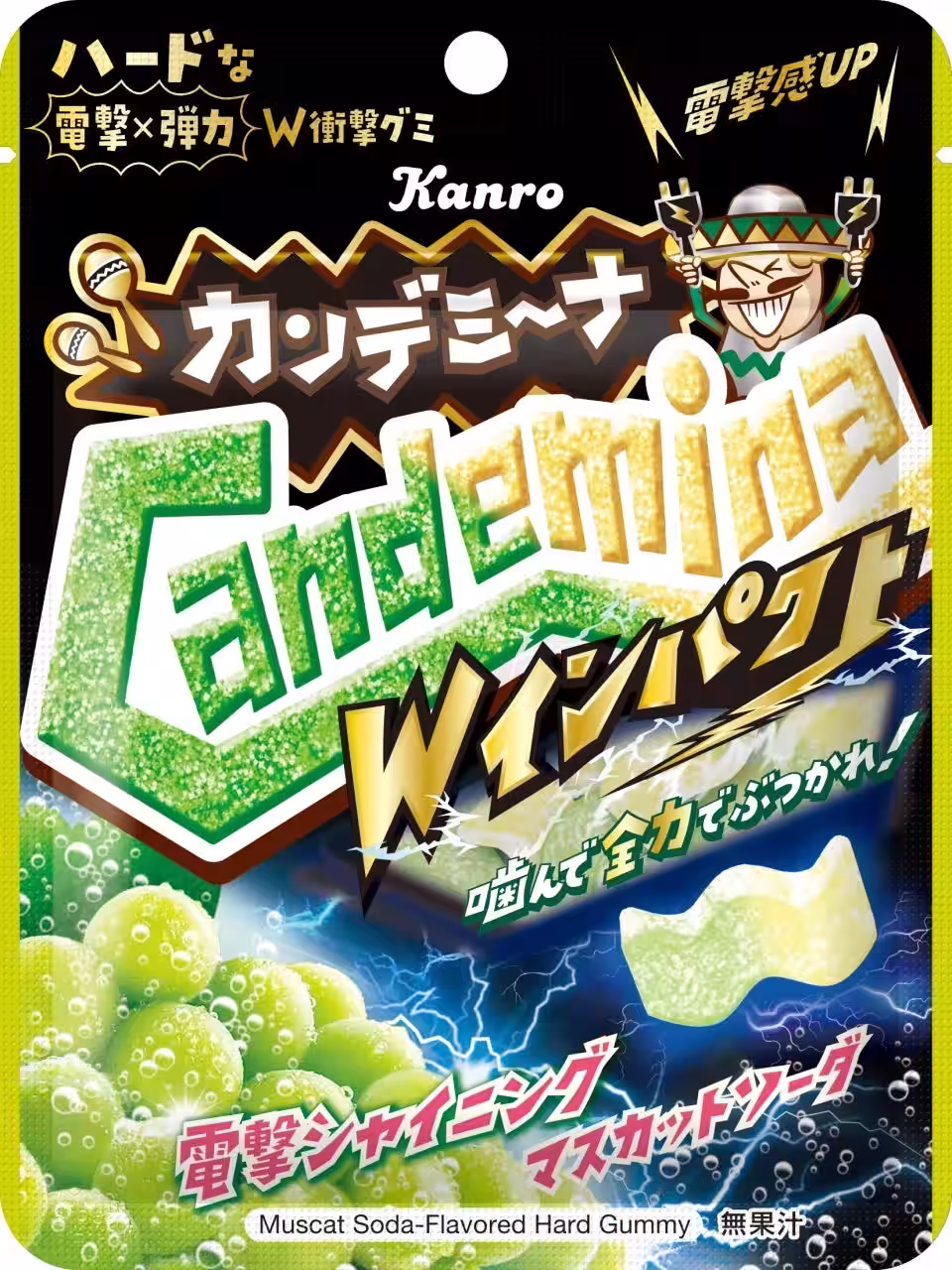 画像5