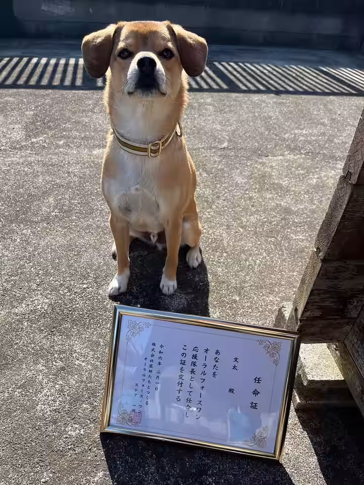 画像4