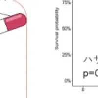 新たな研究成果