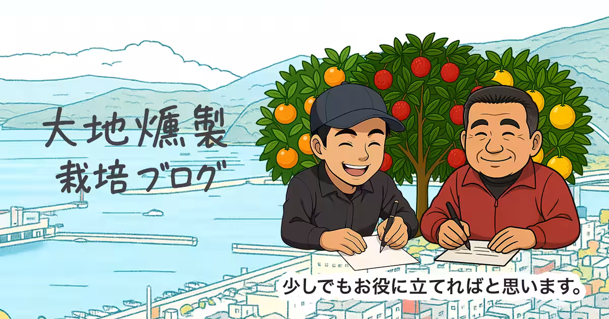 画像6