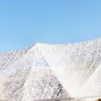 関西万博で新食体験